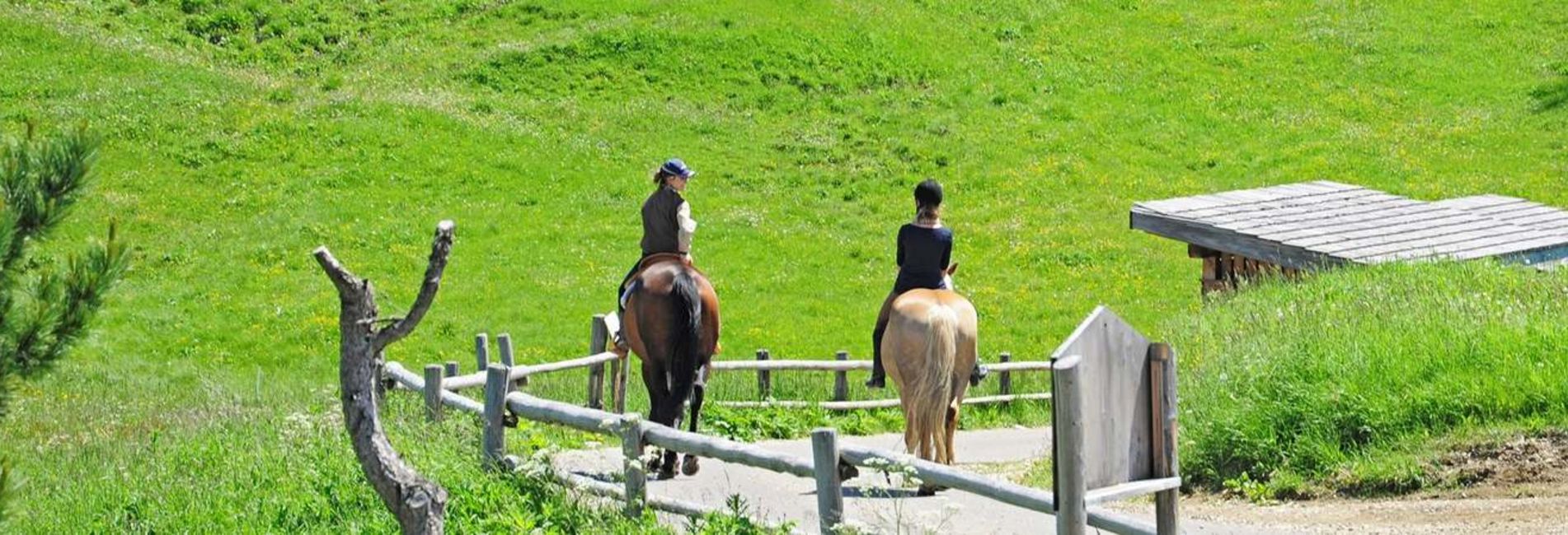 Frau reitet braunes Pferd auf Wiese während Sommerurlaub im Vier Jahreszeiten Hotel Südtirol