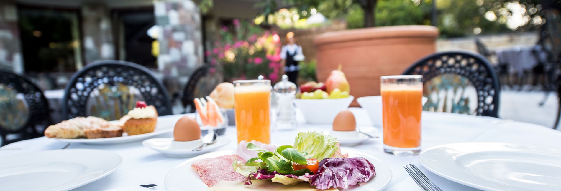 Cervo rosso nel bosco durante l'autunno nelle Dolomiti