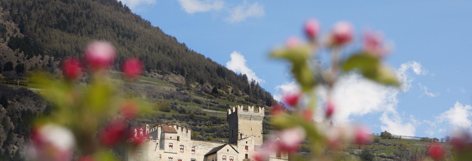 Blick auf die Churburg im Vinschgau Südtirol umgeben von grüner Landschaft bei sonnigem Wetter