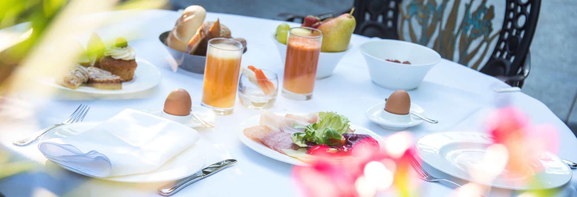 Cervo rosso nel bosco delle Dolomiti in Alto Adige Cervo rosso nel bosco delle Dolomiti in Alto Adige