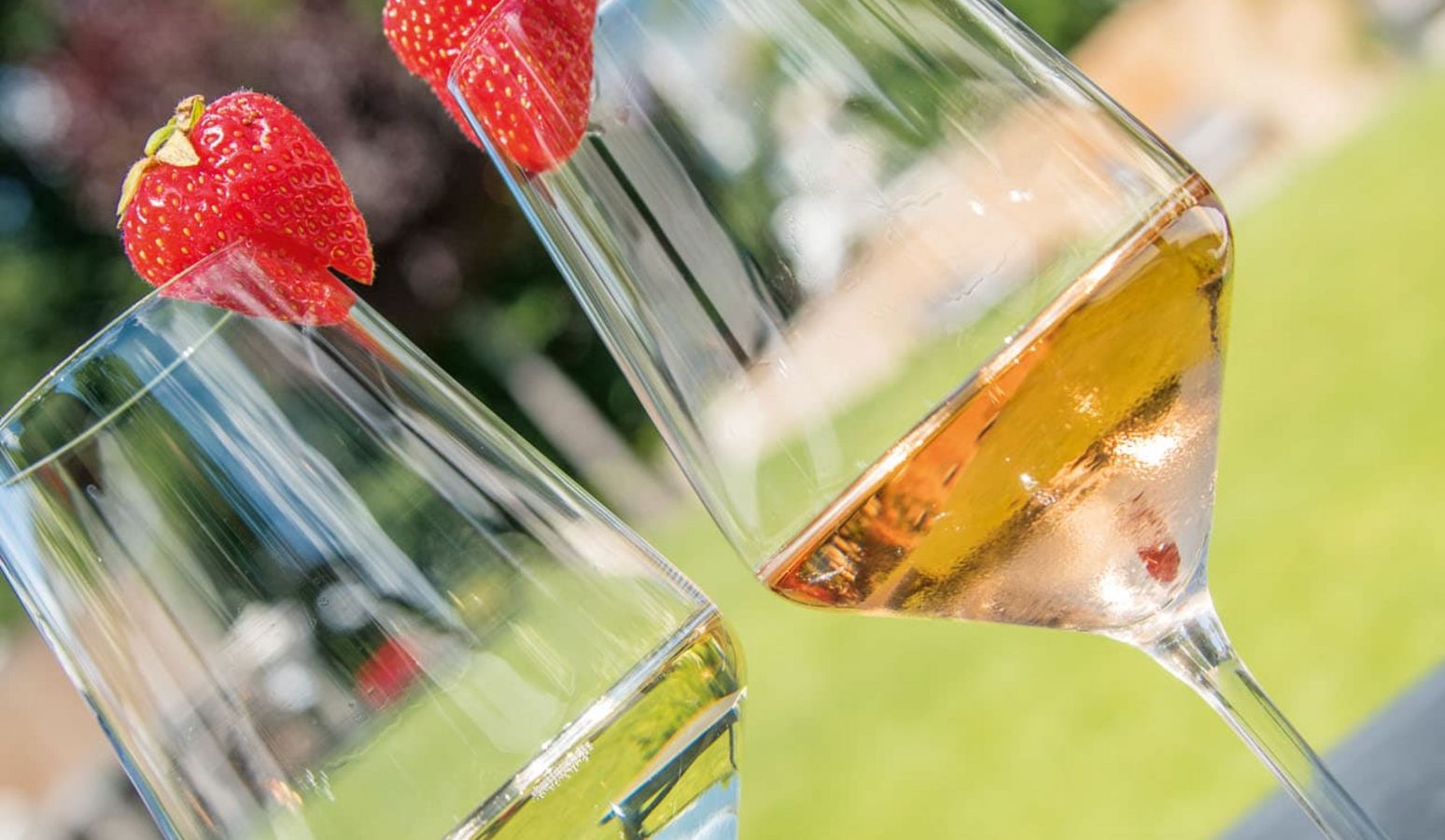 Aperitif im Garten des Vier Jahreszeiten Gartencafés in Meran Aperitif im Garten des Vier Jahreszeiten Gartencafés in Meran