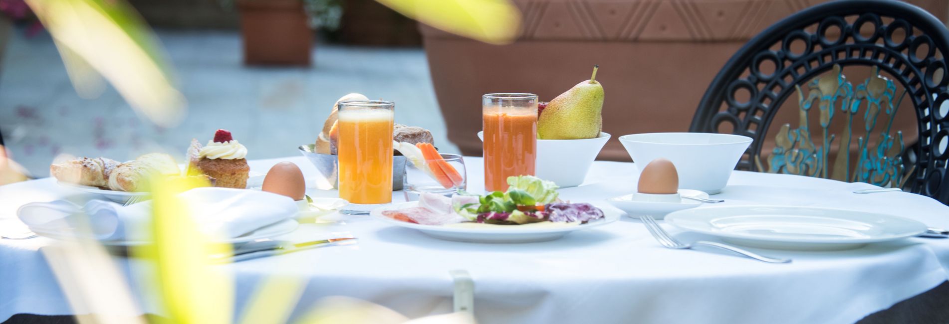 Cervo rosso nel Parco Naturale delle Dolomiti, Alto Adige