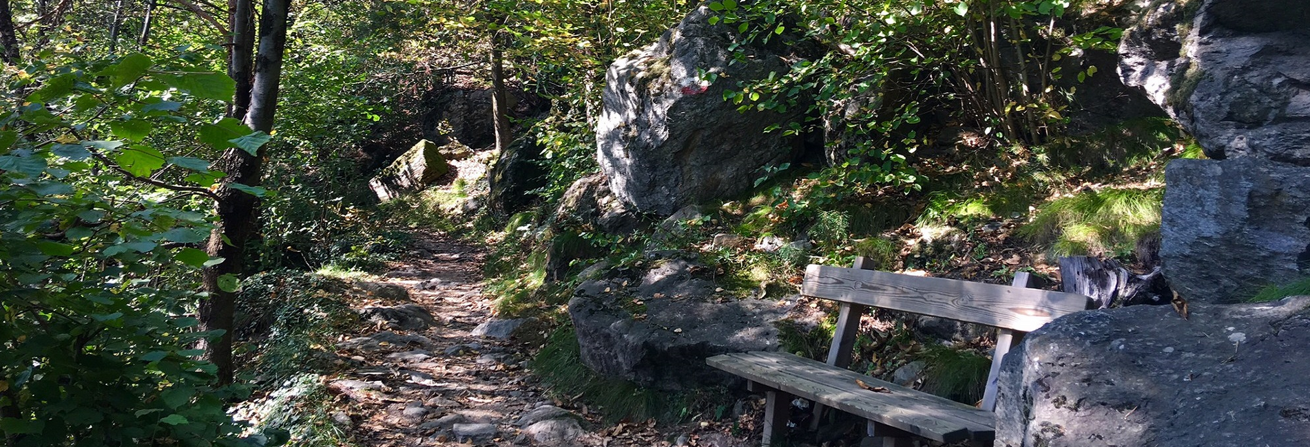 Hotel Vier Jahreszeiten in Südtirol mit Außenpool und Bergblick Hotel Vier Jahreszeiten in Südtirol mit Außenpool und Bergblick