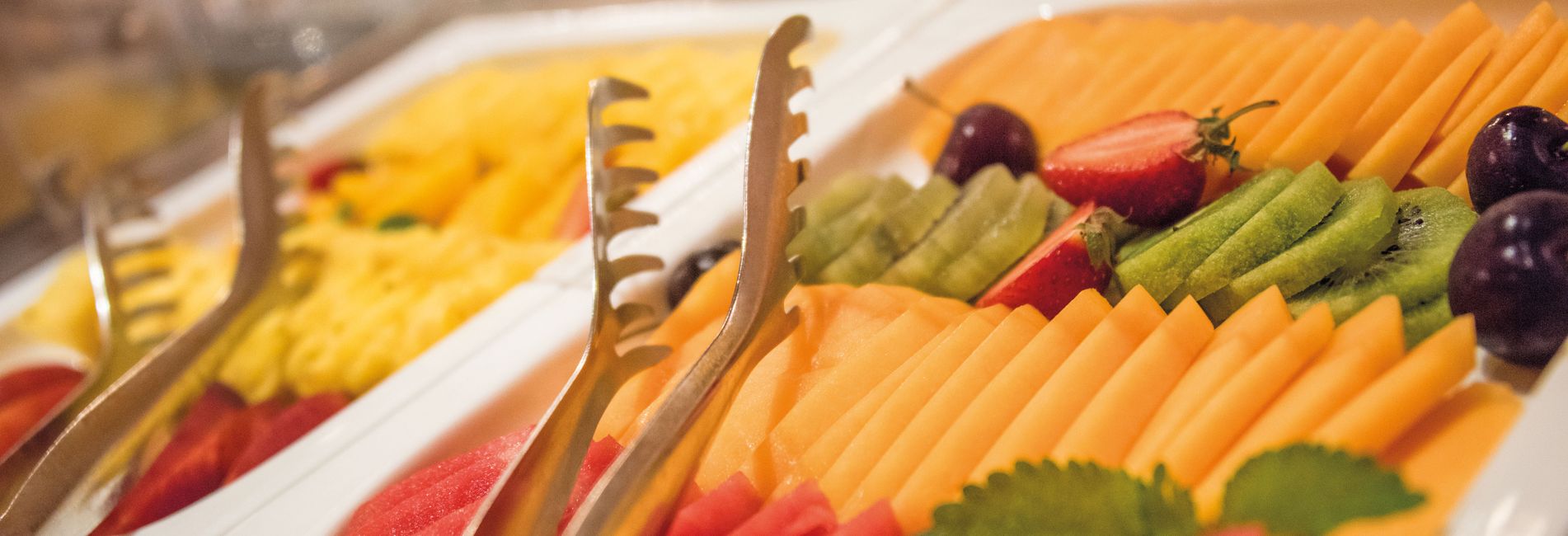 Cervo rosso nel bosco durante l'autunno nelle Dolomiti